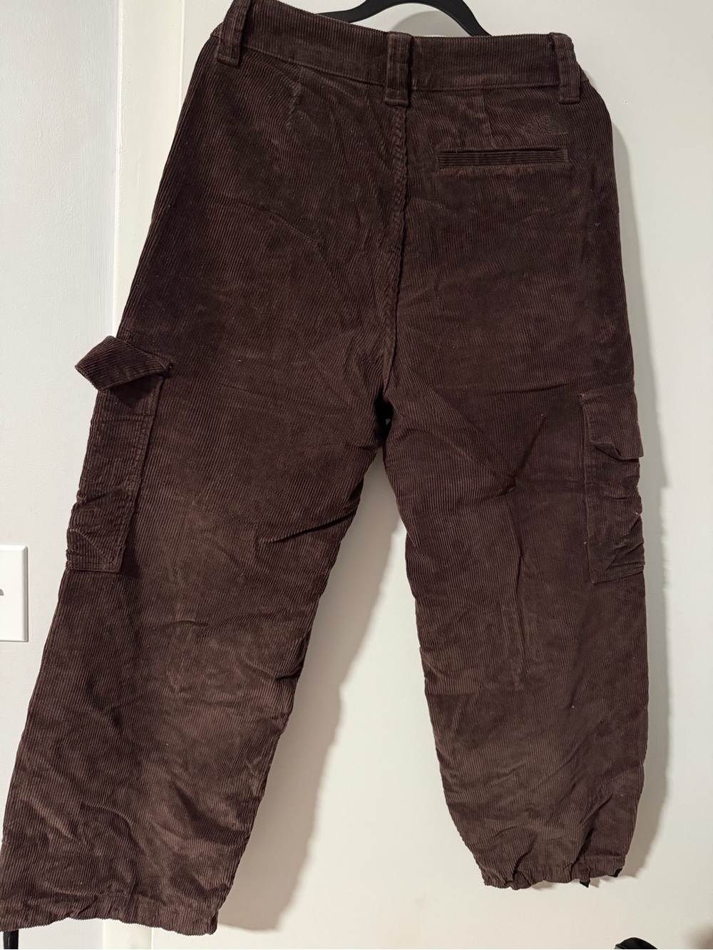 The North Face Dark Brown Corduroy Cargo Pants